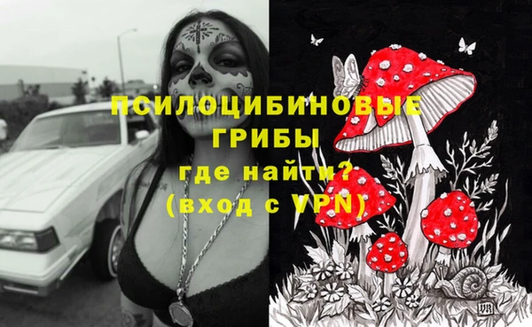 стаф Баксан