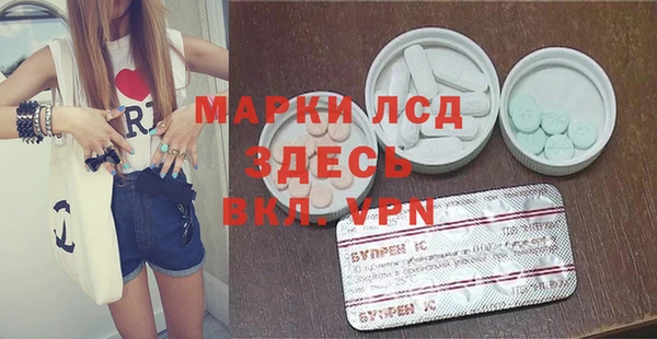 стаф Баксан