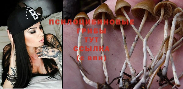 ГАЛЛЮЦИНОГЕННЫЕ ГРИБЫ Балахна