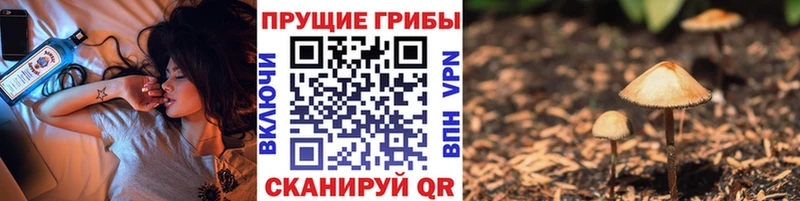 Галлюциногенные грибы ЛСД  наркотики  Севск 